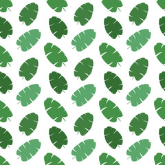 Exotic leaves, rainforest. Seamless, hand draw pattern. Vector background.