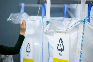 Sorting recyclables. Volunteer eco-activist sort polyethylene Terephthalate (PET) plastic bottles by color to a containers with the appropriate marking.