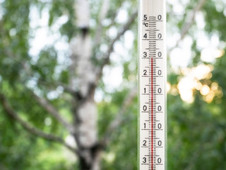 Thermometer close-up on a background of blurred green trees. 30 degrees heat.