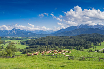 Fototapeta na wymiar Germany, Bavaria, Allgaeu, Eisenberg, panoramic view to Tegelberg and Säuling mountain