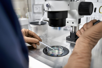 Process of in vitro fertilization in laboratory - 283620075