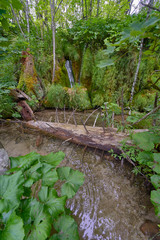 Plivitce National park in Croatia
