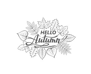 hello autumn lettering label with woody leaves iso
