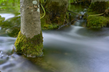 Plivitce National park in Croatia. Long exposure waterfall