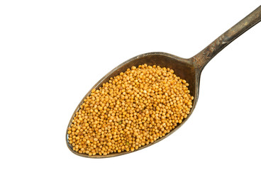 A mixture of seasonings in an old spoon isolated on a white background. Spice on isolate. View from above.