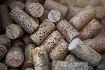 A cork that used to be the lid of many wine bottles.