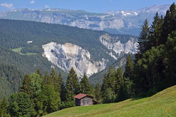 Fototapeta na wymiar Rheinschlucht bei Versam, Graubünden