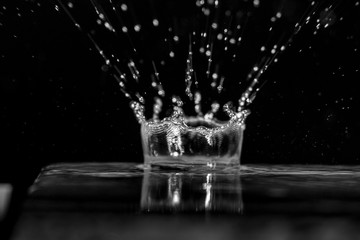 Water drop on a rainy day