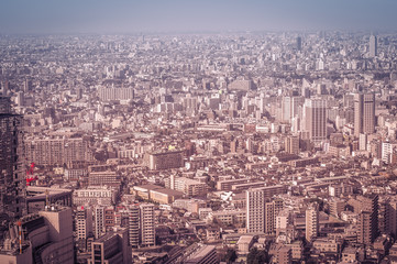 Fototapeta na wymiar aerial view of Tokyo