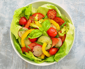 Tomato cucumber radish pepper salad