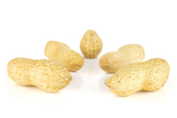 Group of five whole natural yellow peanut arranged symmetrically isolated on white background