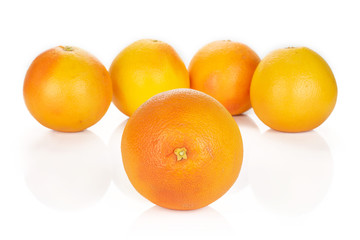 Group of five whole fresh pink grapefruit arranged symmetrically isolated on white background