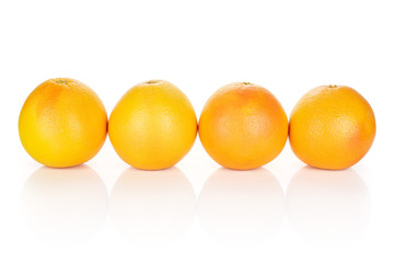 Group of four whole fresh pink grapefruit in row isolated on white background