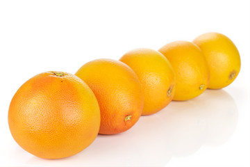 Group of five whole fresh pink grapefruit placed diagonally in line isolated on white background