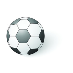 Obraz premium soccer icon. vector football ball 