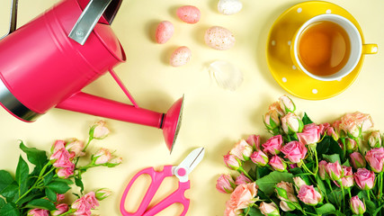Welcoming Spring pink and yellow theme concept flat lay tea break with roses and gardening accessories.