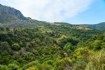 Green hills of Crete, Greece.