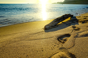 Footprints at the beach