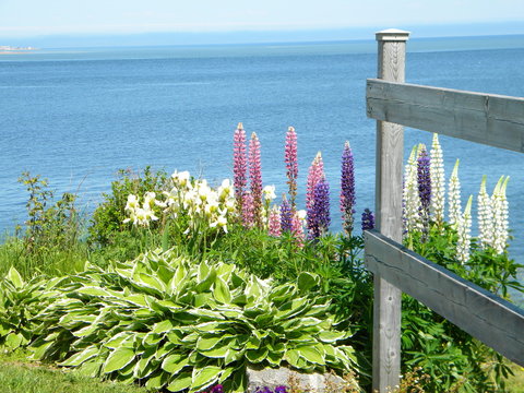 Caraquet cliff garden