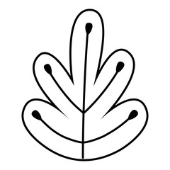 Isolated leaf design vector illustration