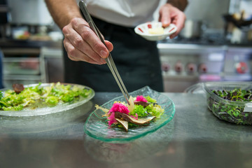 chef preparing a healthy salad with sardine loins