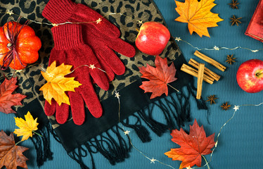 Autumn Fall bright colours theme flatlay overhead on scattered maple leaves background.