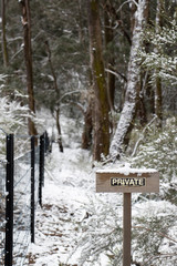 wooden sign in winter forest