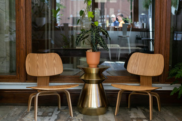 house plant in terra cotta vase on gold side table between two wooden chairs, mid century modern home decor