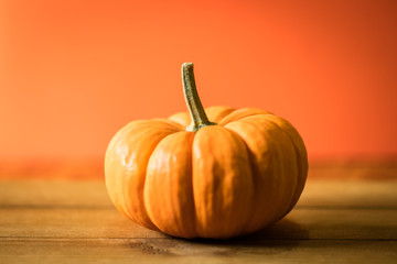 Miniature orange pumpkin on an orange background