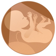 Small developing fetus (unborn) playing with its umbilical cord. Obstetrics, Fertility Conceptual Illustration. Circle, brown background, isolated.
