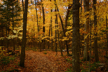Canadian Autumn views
