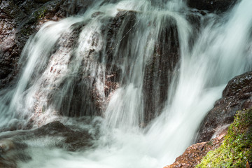 Fototapeta premium 奥十曽渓谷の沢の流れ