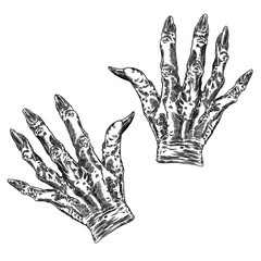 Scary zombie monster hands, hand drawn. Isolated on white background. Halloween set. Vector.