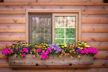 close up of window with window box full of flowers - obrazy, fototapety, plakaty