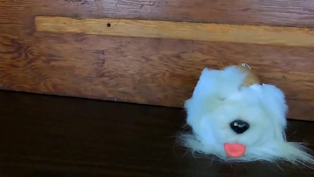 The head of a toy dog ripped off the body and left sitting on a wooden table.