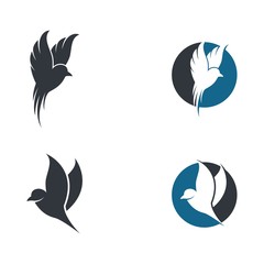 Fototapeta na wymiar Bird logo template vector icon illustration