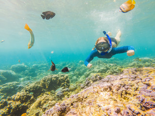 Happy woman in snorkeling mask dive underwater with tropical fishes in coral reef sea pool. Travel...
