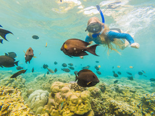 Happy woman in snorkeling mask dive underwater with tropical fishes in coral reef sea pool. Travel...
