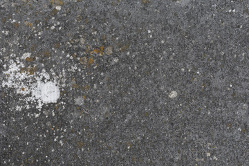 Concrete floor with a large white patch of mold on it