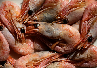 Boiled Shrimp Full