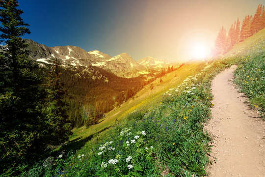 Sunlight shines on a dirt hiking trail in a Colorado Rocky Mountain landscape