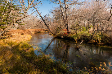 Windy River reflecting light and shadow. Autumn at Senjogahara plateau in Nikko national park, Nikko Tochigi, Japan ( Ecological engineering methods )
