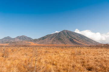 Obraz premium Autumn at Senjogahara plateau in Nikko national park, Nikko Tochigi, Japan