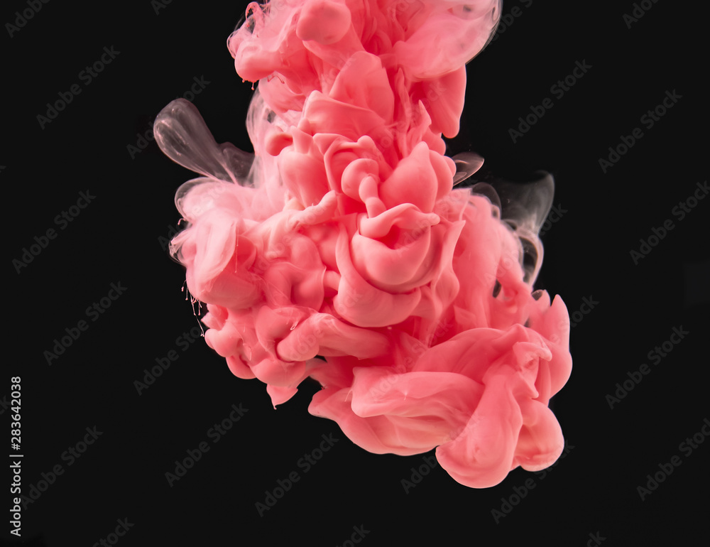 Poster droplet of pink-red paint makes colorful swirl underwater, isolated on black background, close up vi