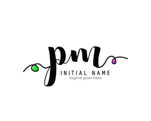 P M PM Initial brush color logo template vetor