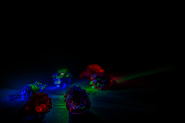 Multi-colored red, green, and blue glowing party rings, lights, and bracelets