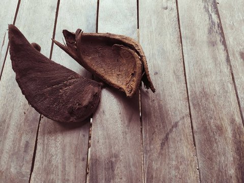 dry result of xylia xylocarpa on wood background