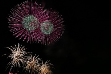 《大曲の花火》秋田県大仙市