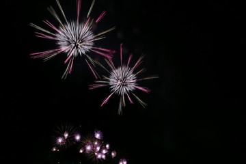 《大曲の花火》秋田県大仙市