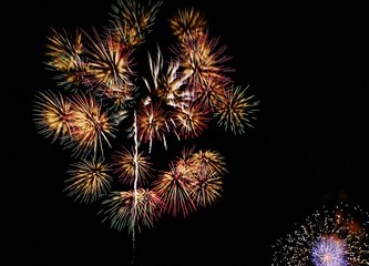 《大曲の花火》秋田県大仙市
